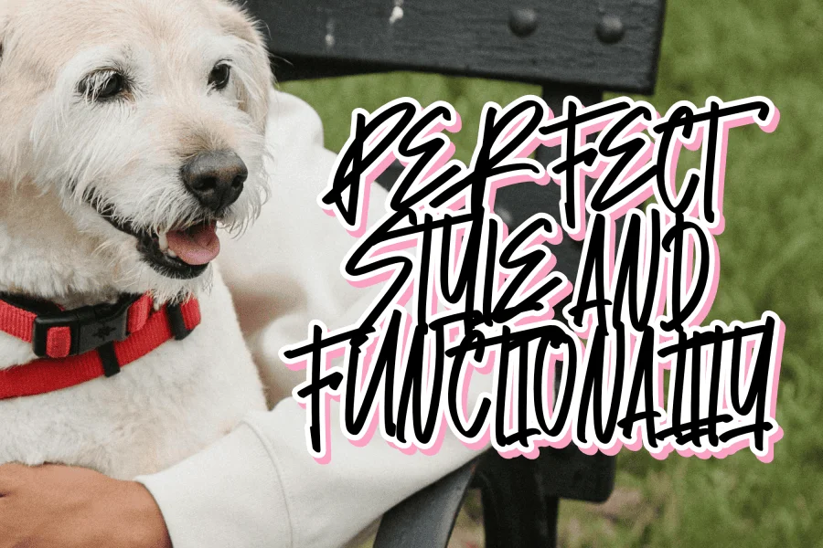 Bestie Seventy Font preview 4