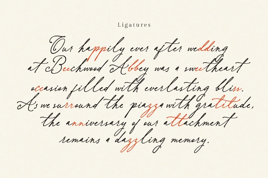 Betris & Daniel Personal Use Font Family preview 11
