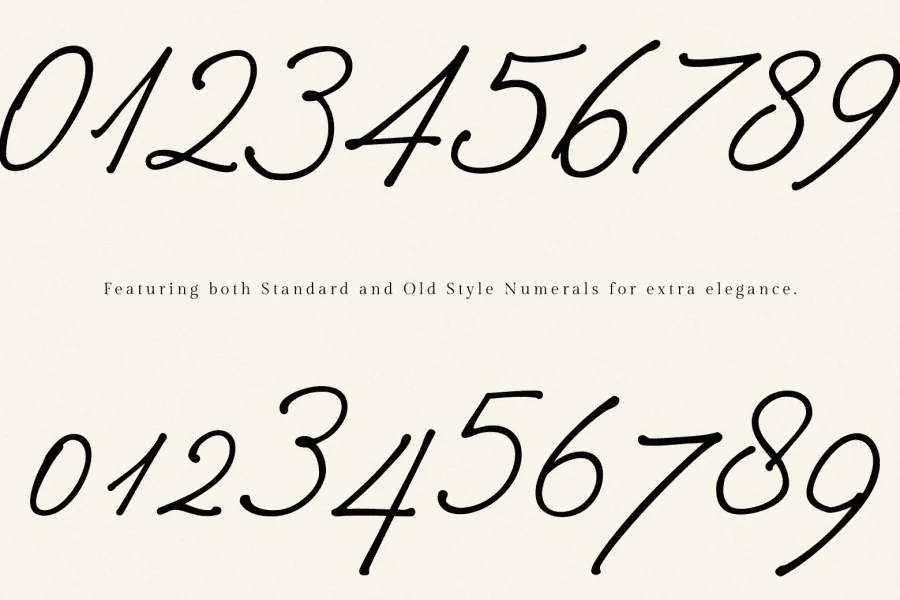 Betris & Daniel Personal Use Font Family preview 16