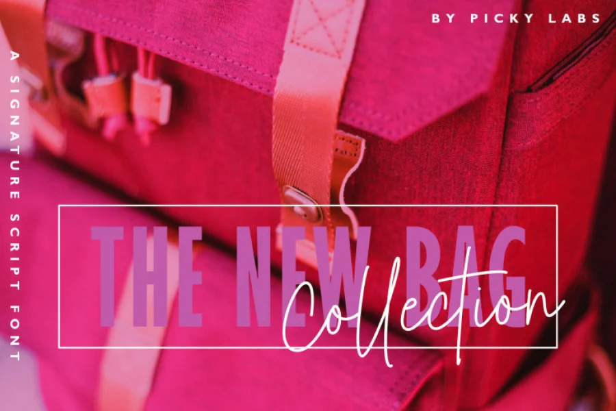 Bettina Signature Font preview 3