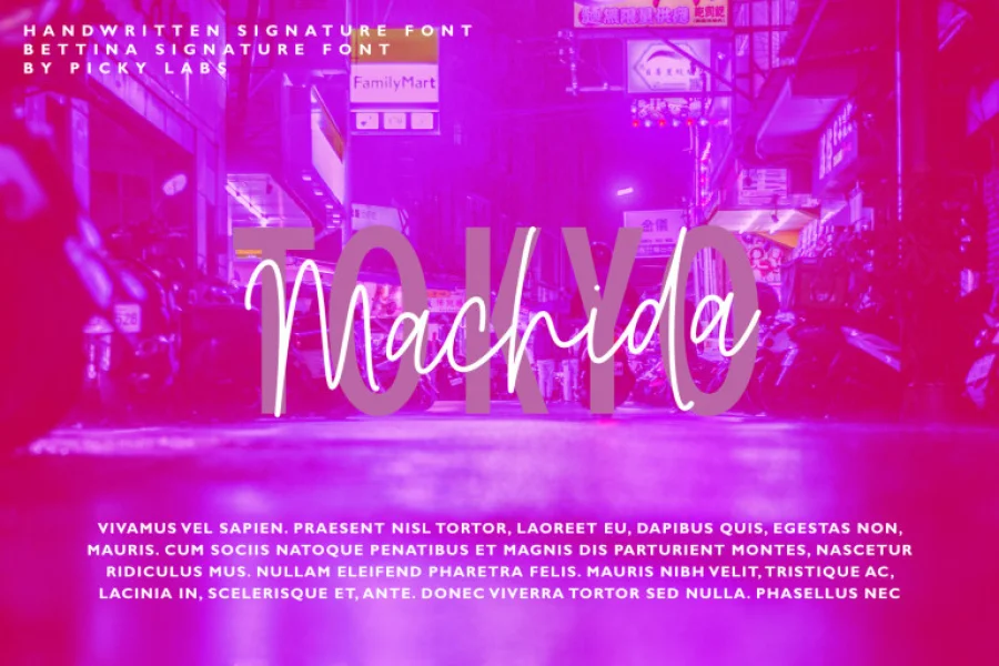 Bettina Signature Font preview 7