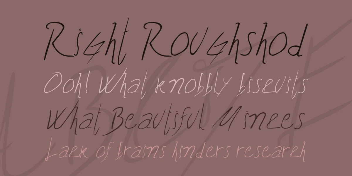Biffe's Calligraphy Font preview 2