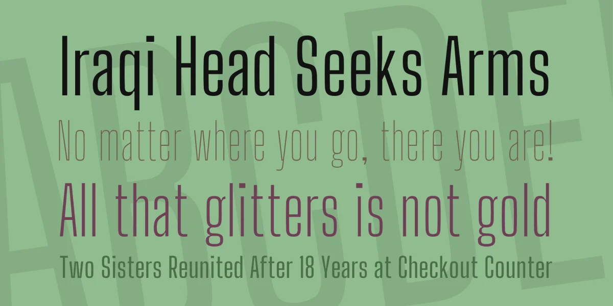 Big Shoulders Display Font Family preview 2