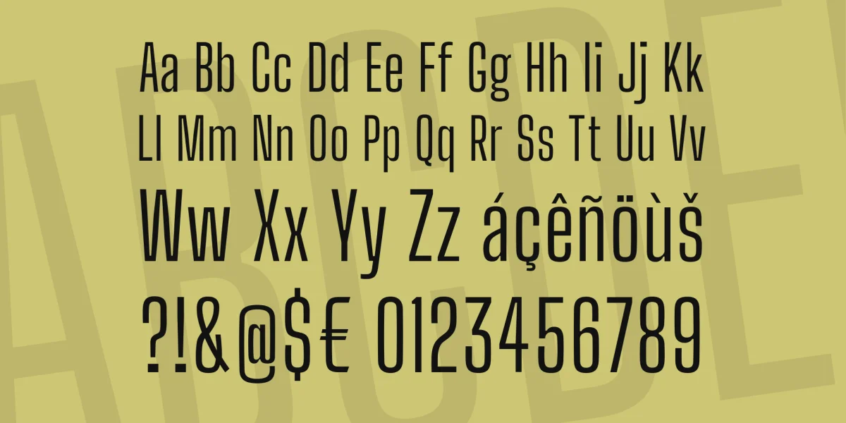 Big Shoulders Display Font Family preview 4