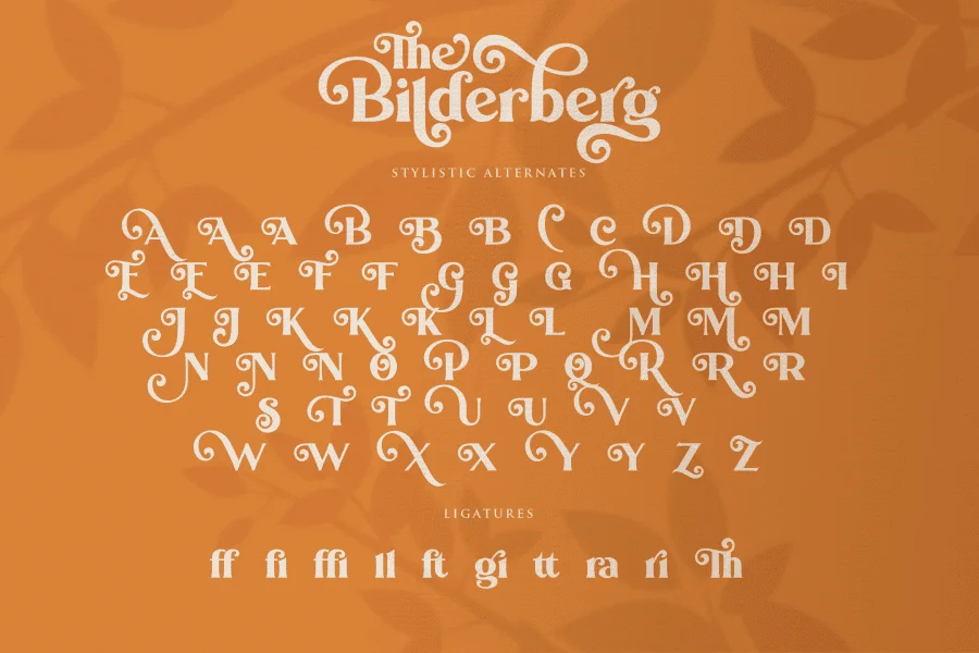 Bilderberg Font Family preview 15