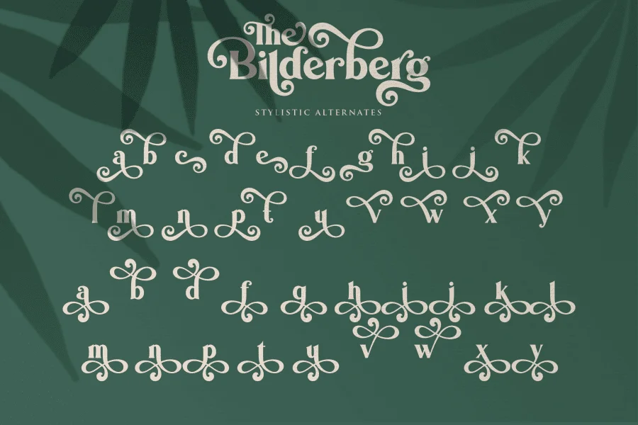 Bilderberg Font Family preview 16