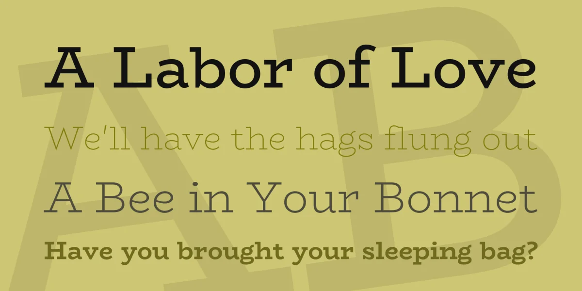 BioRhyme Font Family preview 2