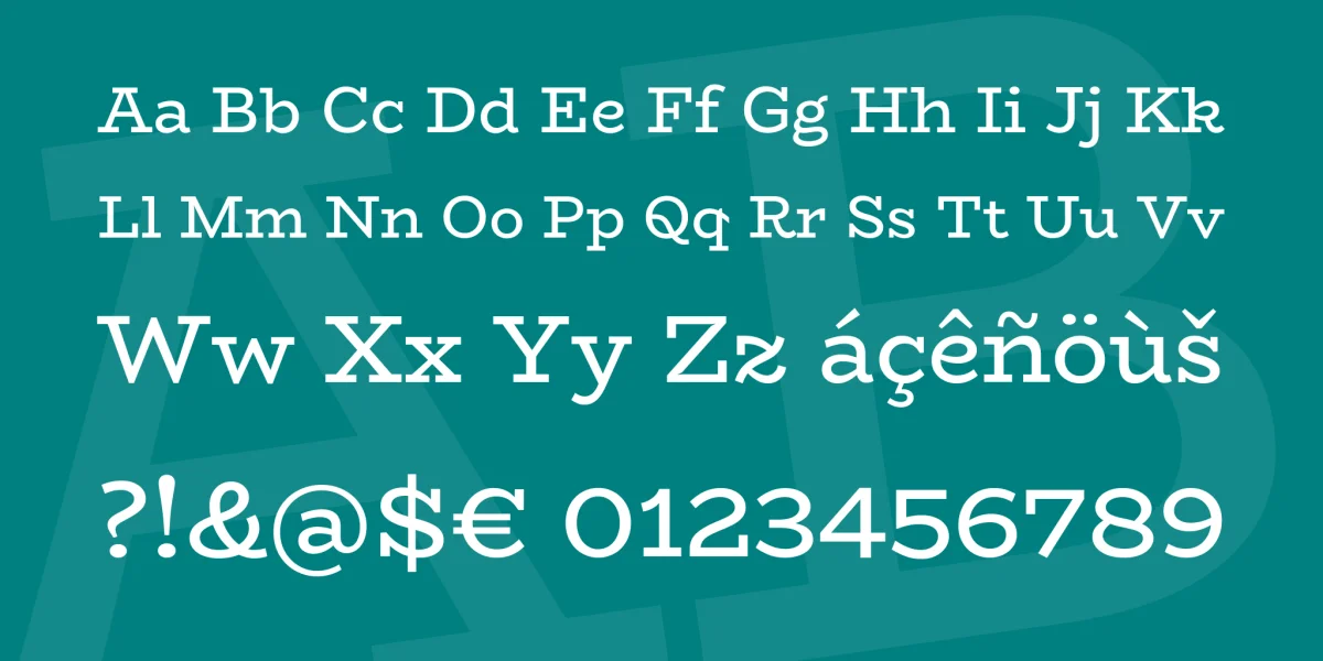 BioRhyme Font Family preview 4