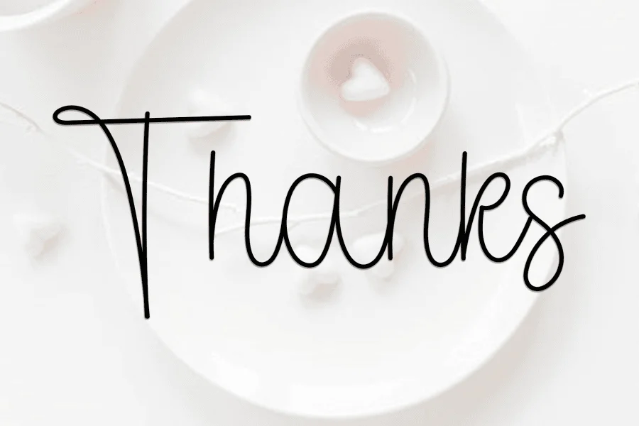 BirthdayThanksgiving Font preview 9