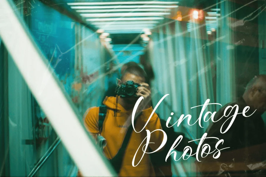 Bitteva Script Font preview 12