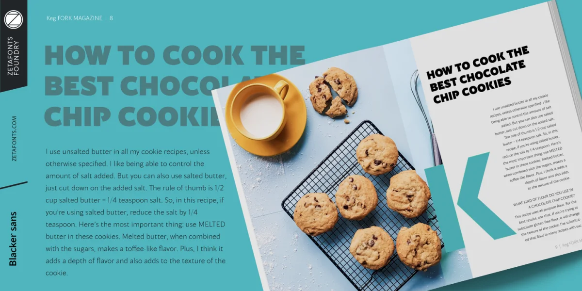 Blacker Sans Trial Font Family preview 5