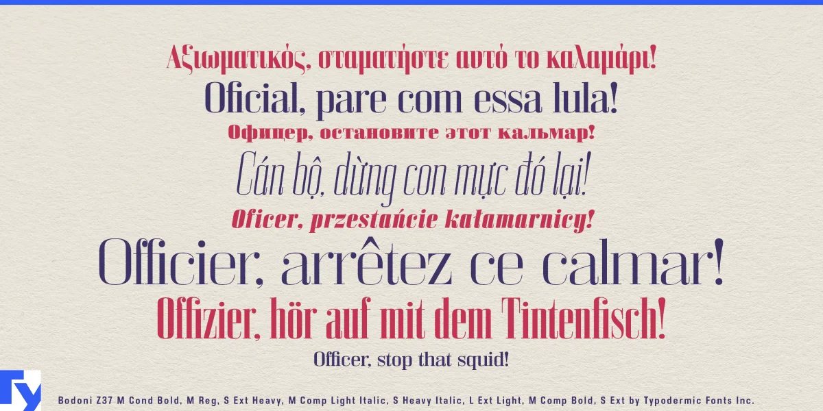 Bodoni Z37 Font Family preview 2