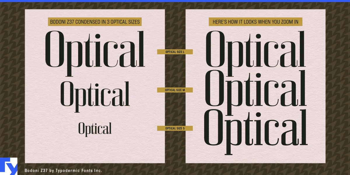 Bodoni Z37 Font Family preview 6