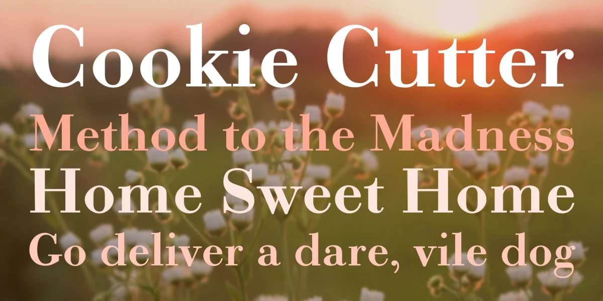Bodonio Font preview 2