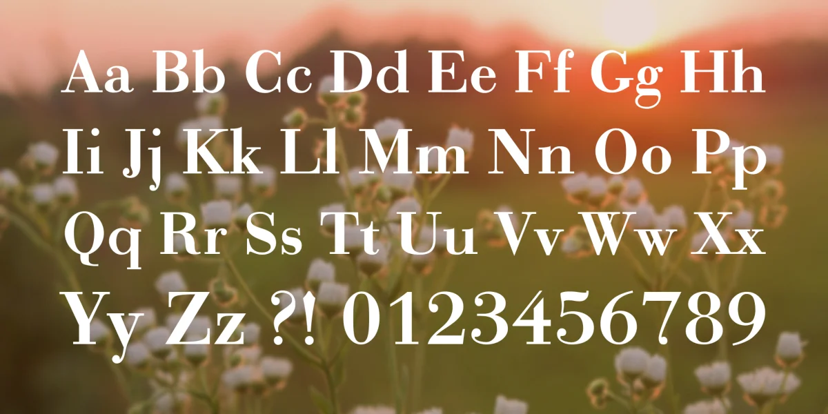 Bodonio Font preview 3
