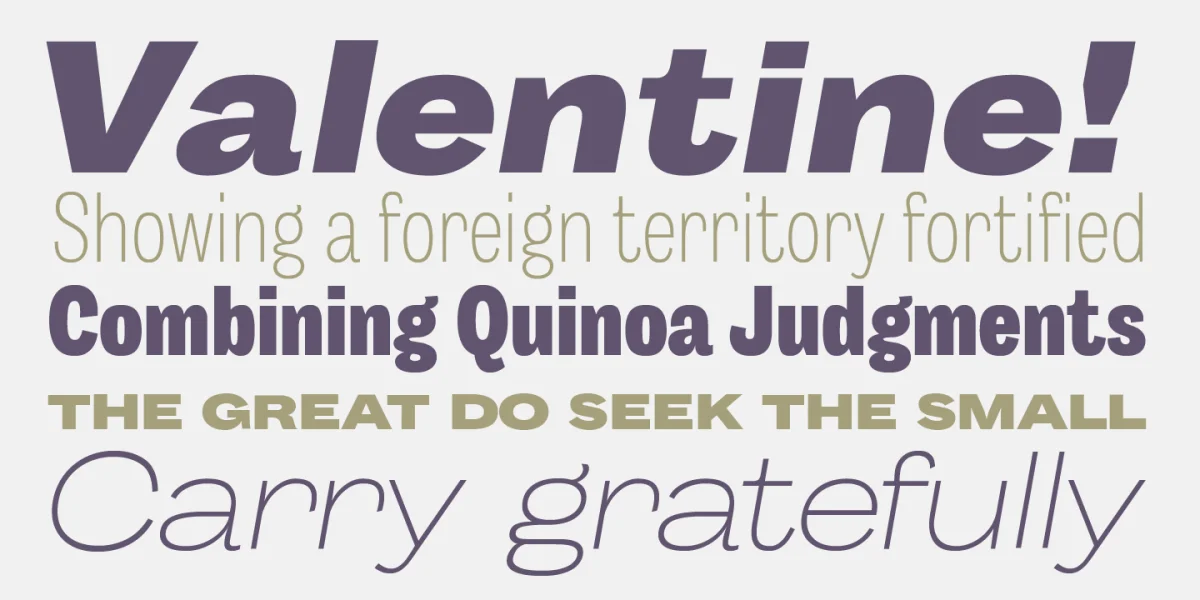 Body Grotesque Font Family preview 5