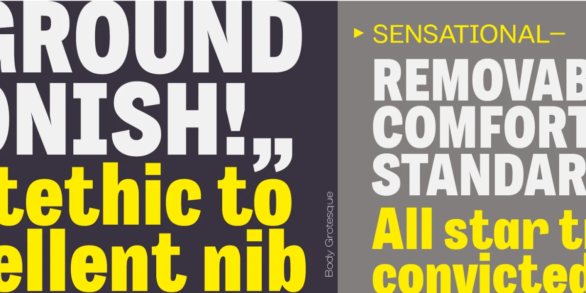 Body Grotesque Font Family preview 6