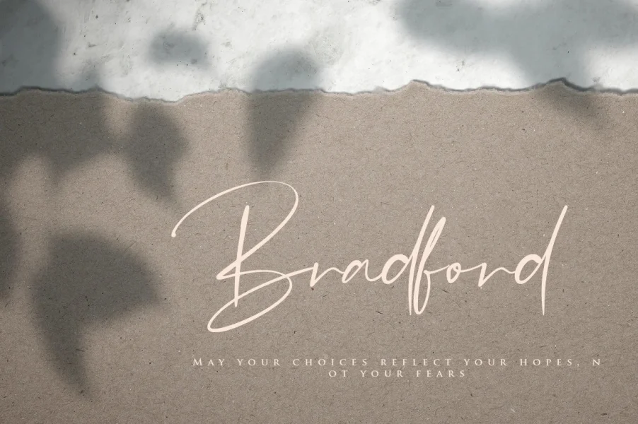 Boilgo Font preview 11