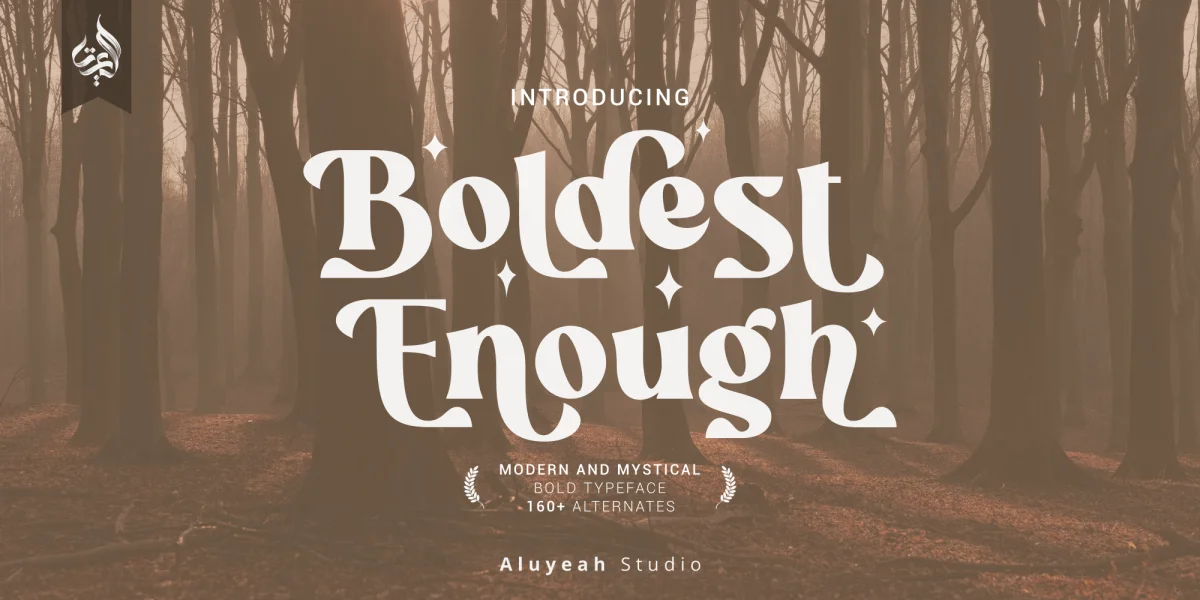 Boldest Enough Font
