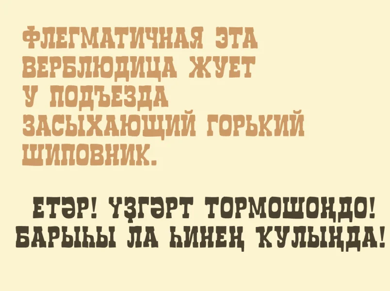 Boncegro FF 4F Font preview 5