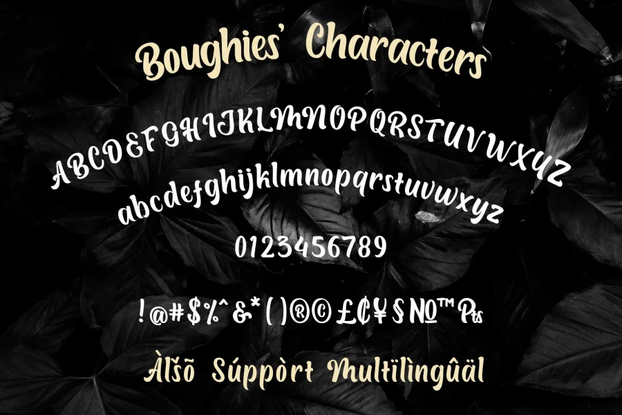 Boughies Font preview 2
