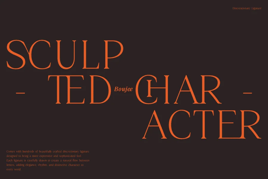 Boujee Font Family preview 3