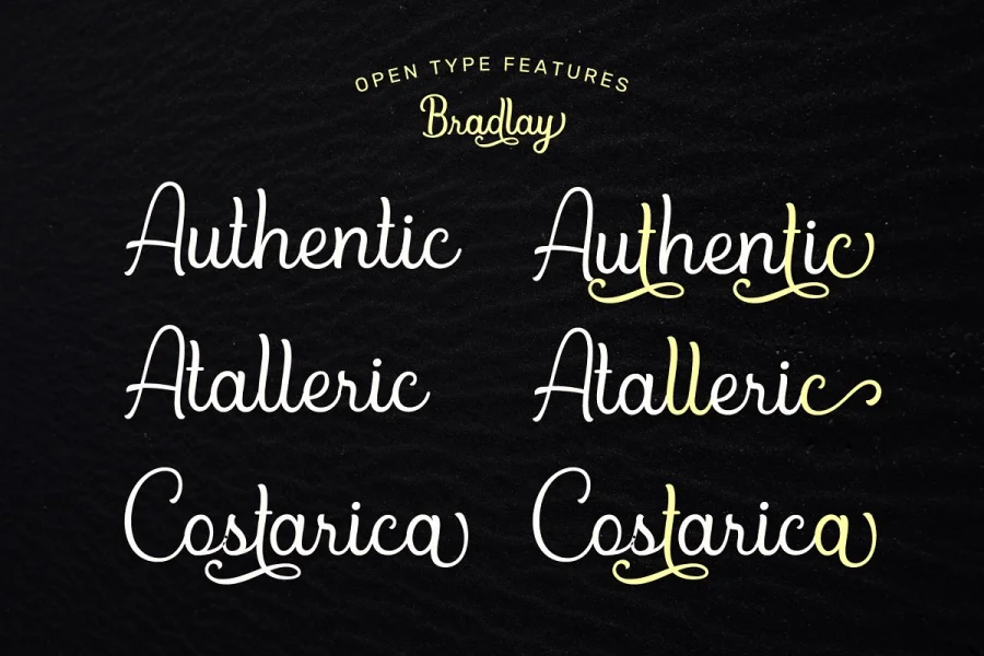 Bradlay Demo Font