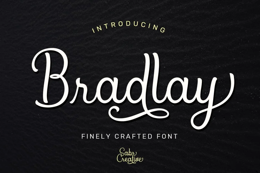 Bradlay Demo Font preview 8