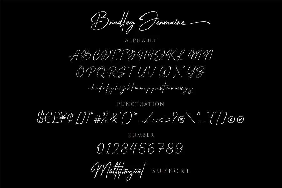 Bradley Jermaine Font preview 10