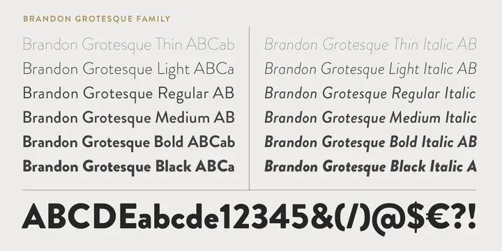 Brandon Grotesque Font preview 2