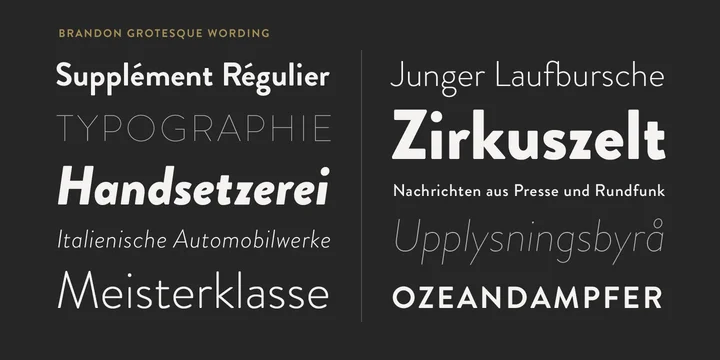Brandon Grotesque Font preview 3