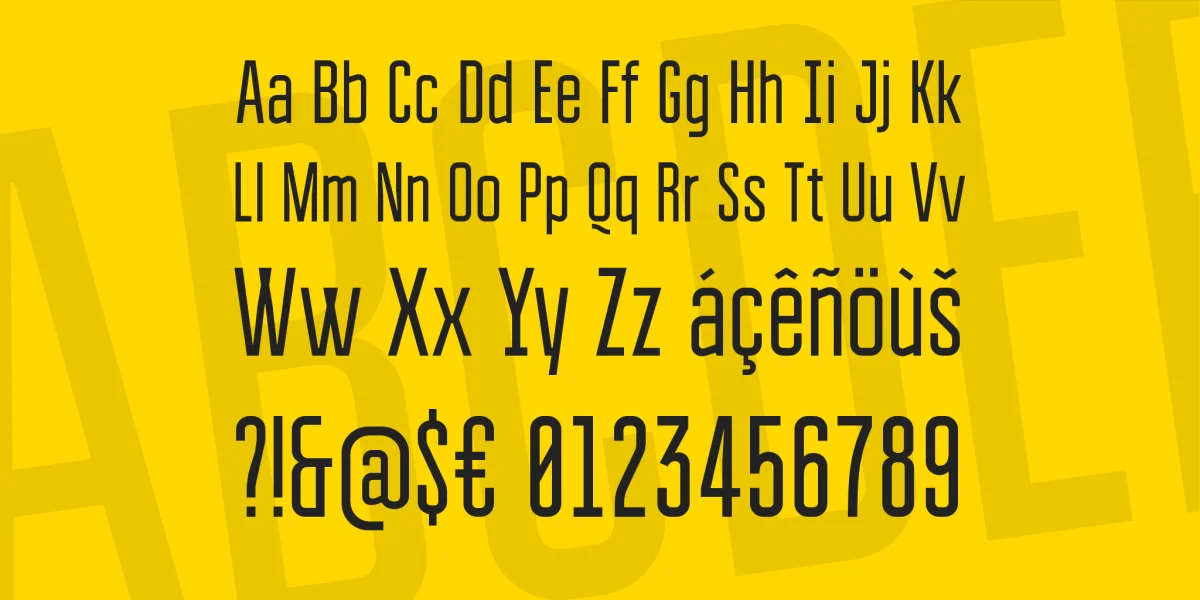 Bravo Font Family preview 4