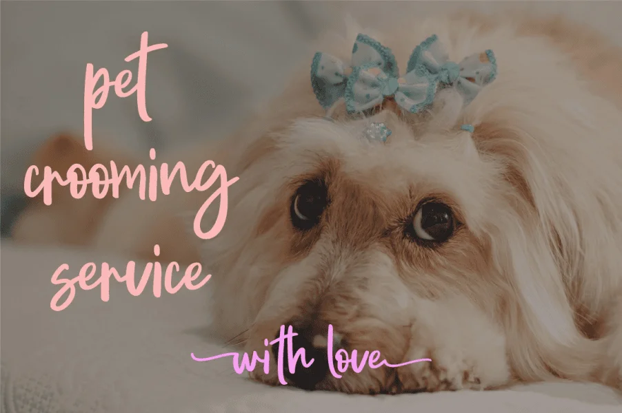 brewoke Font preview 4