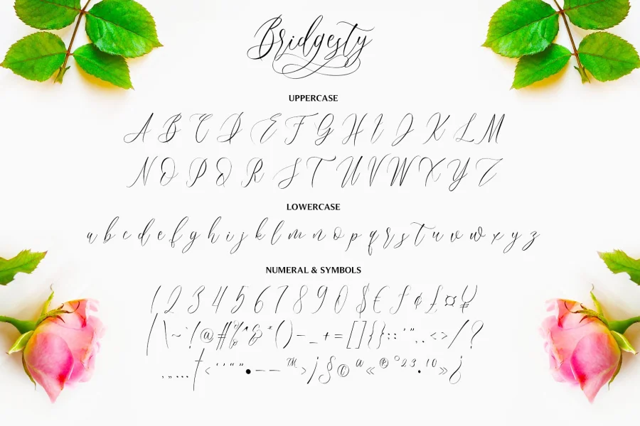 Bridgesty Font preview 10
