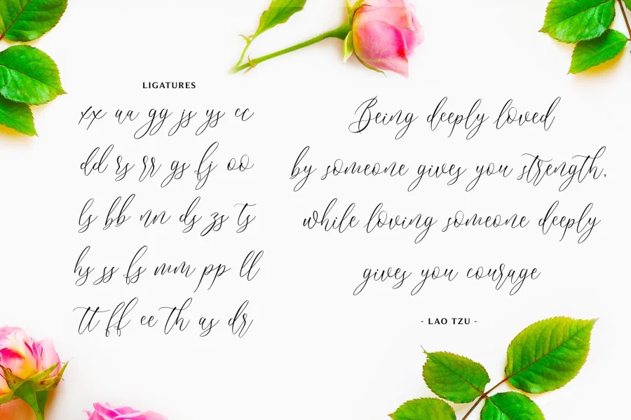 Bridgesty Font preview 3
