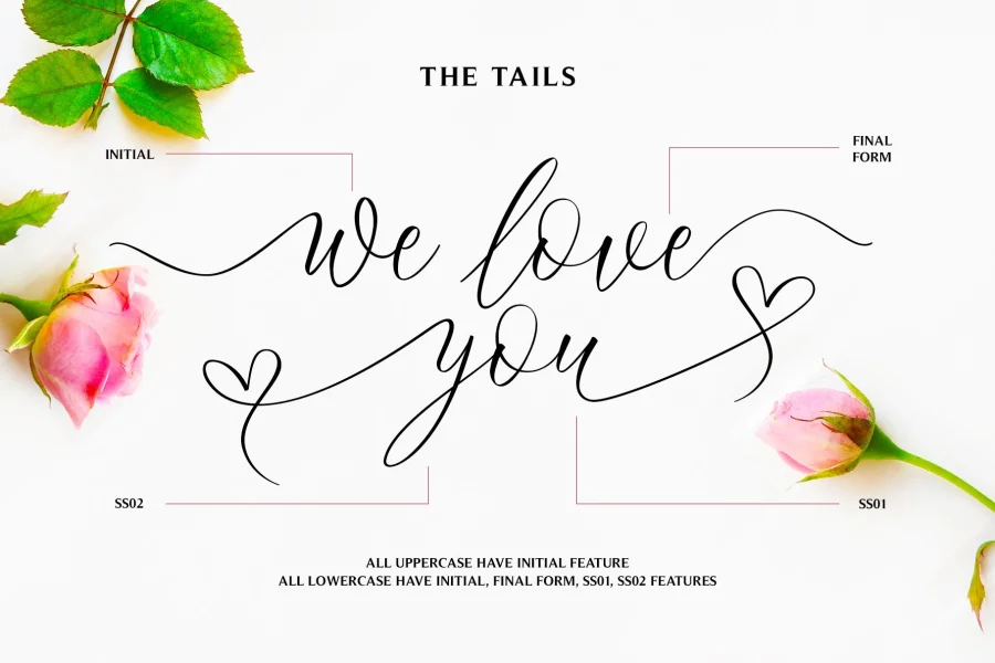 Bridgesty Font preview 5