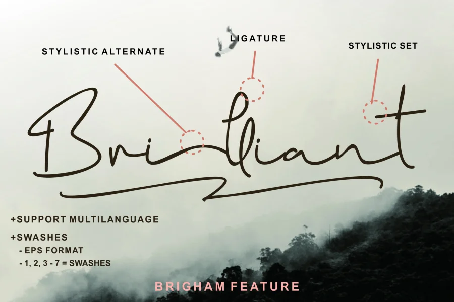 Brigham Font preview 5