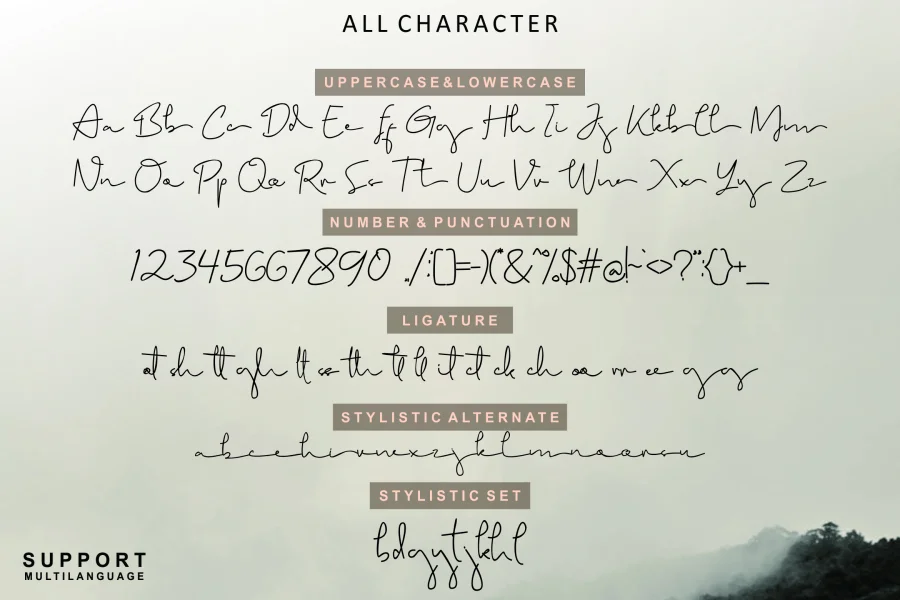 Brigham Font preview 6
