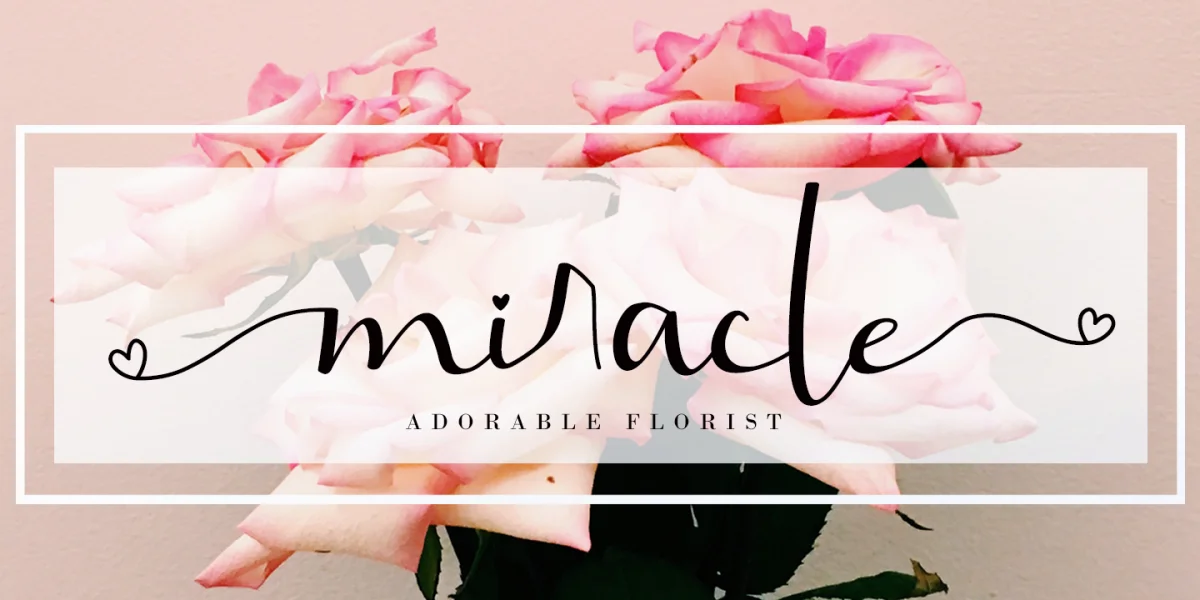 Brillia Calligraphy Font preview 3