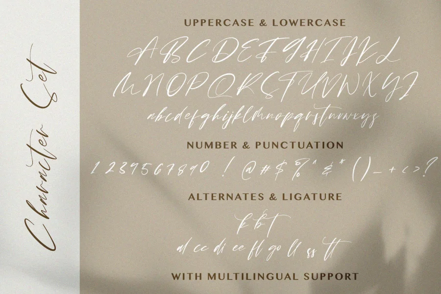 Brittany Angella Font preview 14