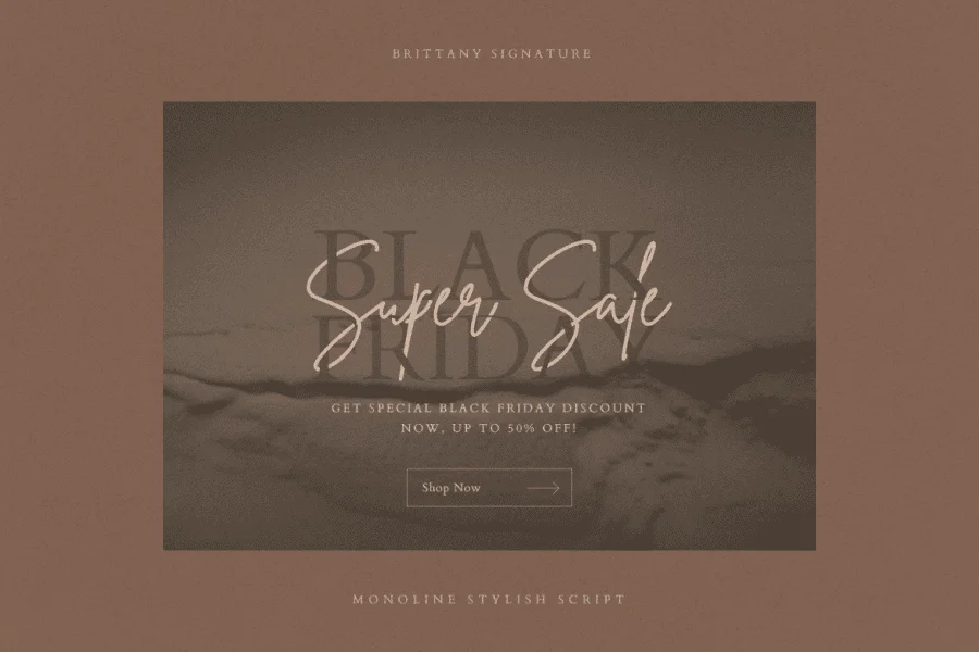 Brittany Signature Script Font preview 2