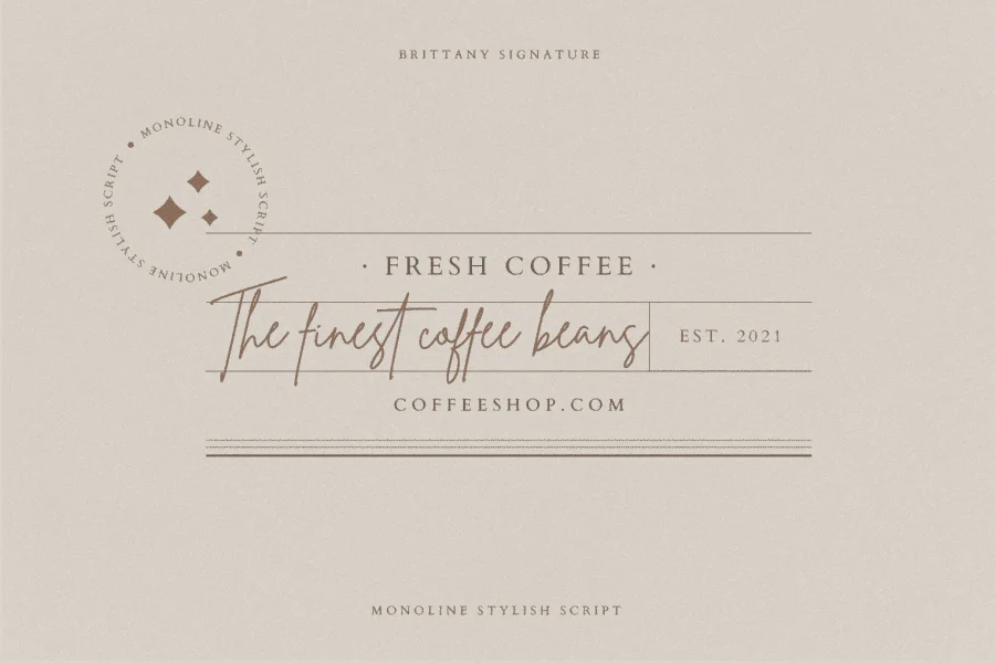 Brittany Signature Script Font preview 3