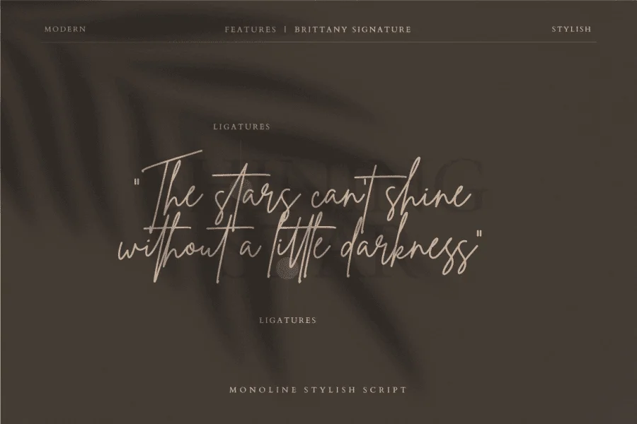 Brittany Signature Script Font preview 5