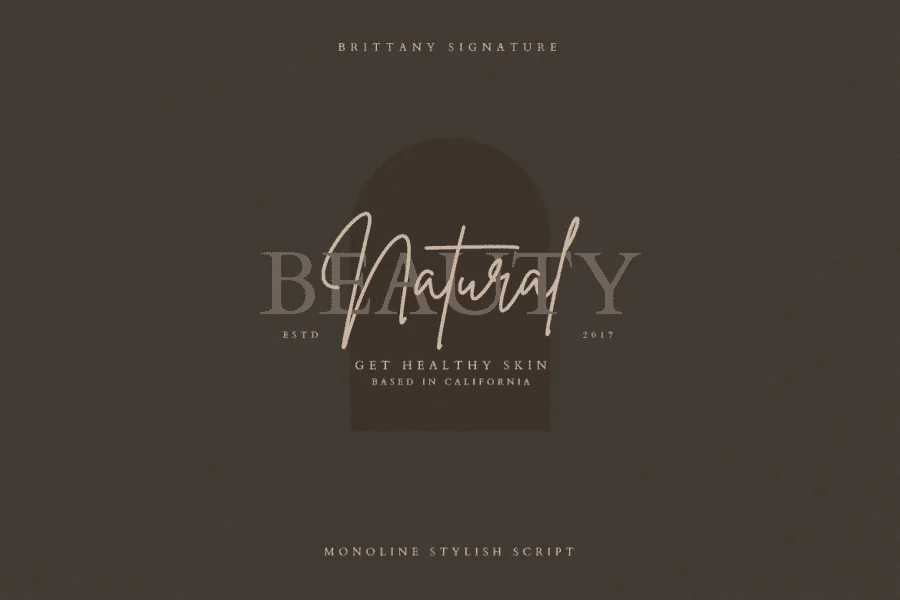 Brittany Signature Script Font preview 7