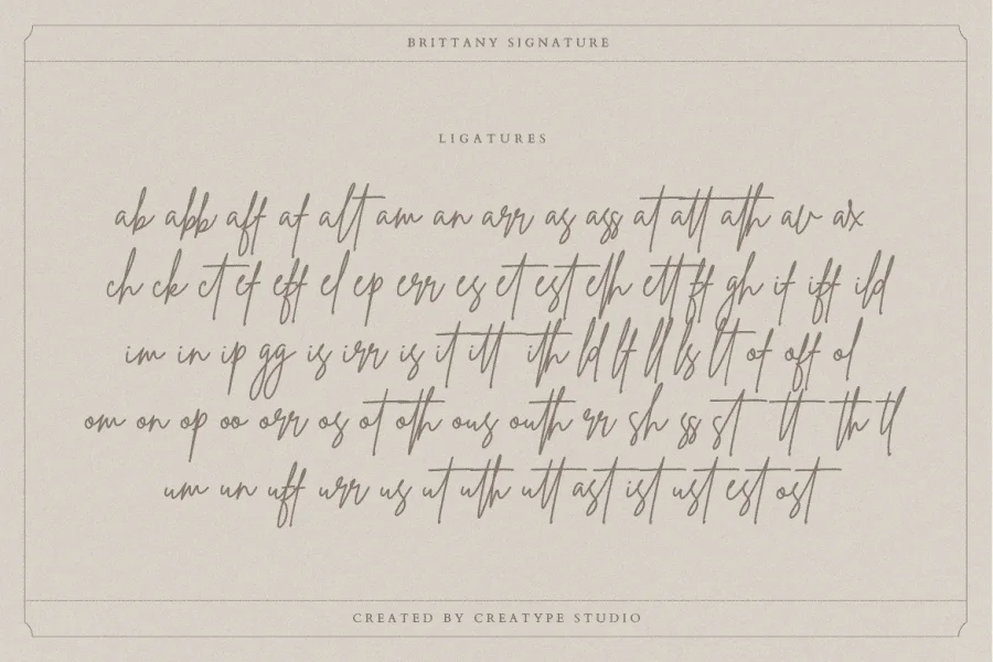 Brittany Signature Script Font preview 9