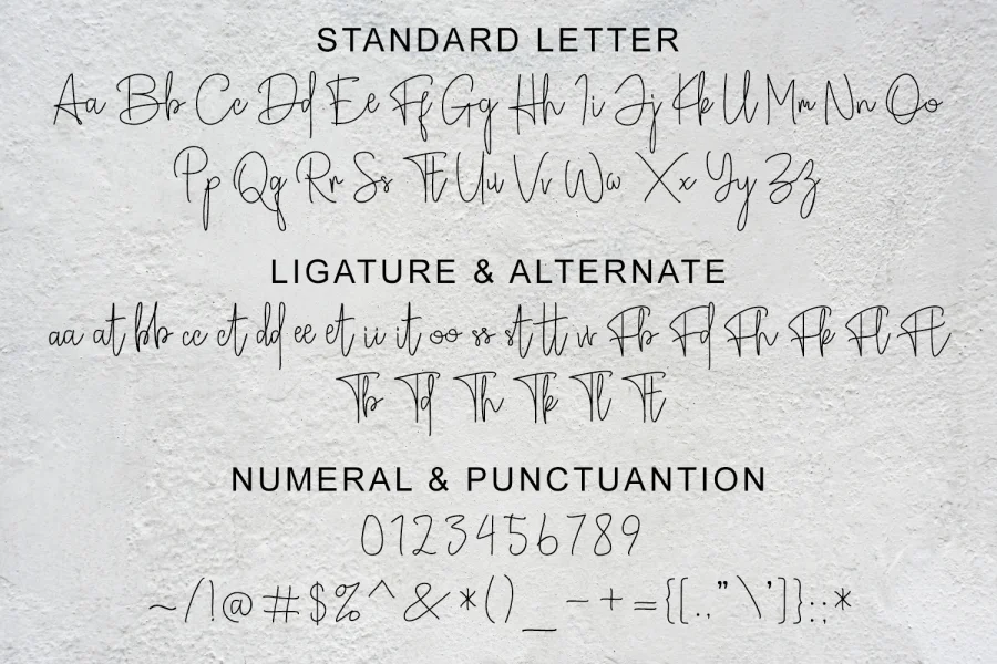 Broetown Signature Font preview 3