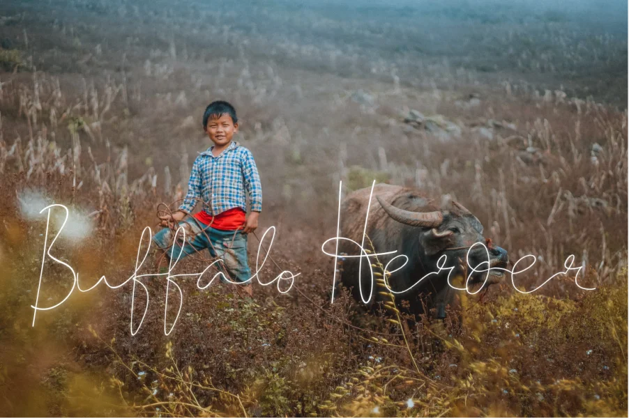 BuffaloHerder Font preview 5
