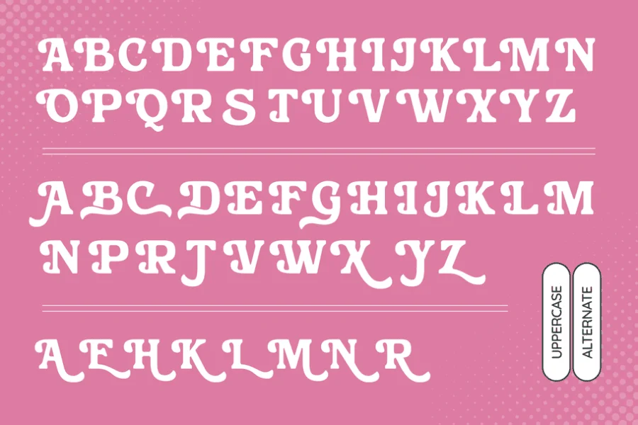 Bushi Retro Demo Font preview 11