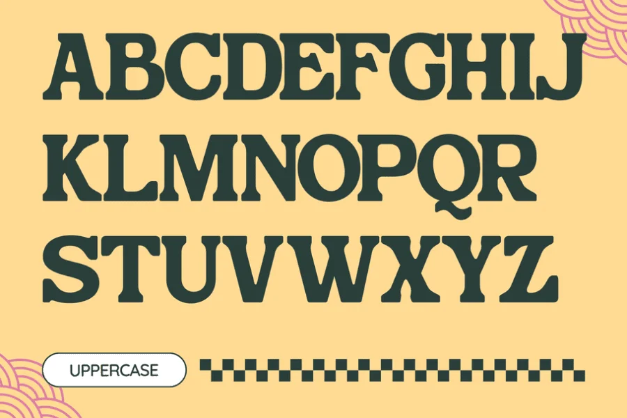 Bushi Retro Demo Font preview 2