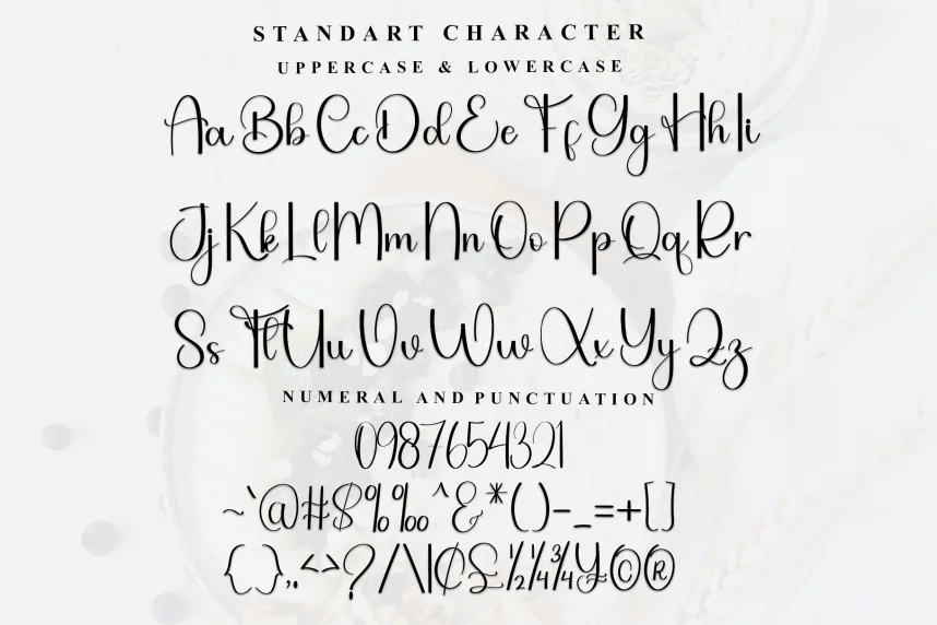 Bushing Simple Handwritten Font preview 6